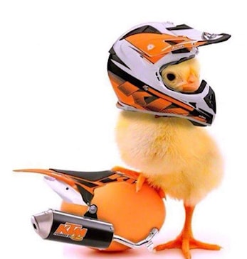 Kjøring i Palmehelgen